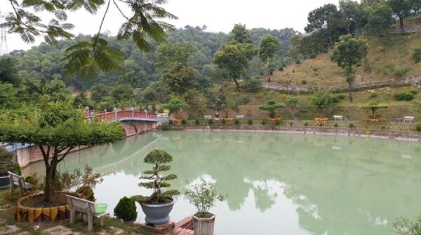 Hồ sinh thái nuôi cá 300m2. - Sputnik Việt Nam