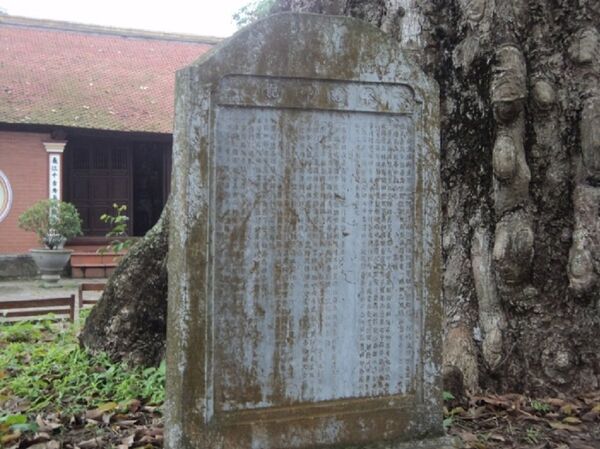 Bia đá bên gốc gạo 700 tuổi ghi lại sự tích đền Mõ và cuộc đời bà công chúa Quỳnh Trân - Sputnik Việt Nam