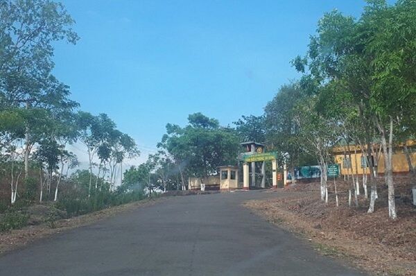 Xe gỗ lậu của Phượng râu đi qua một loạt ĐBP và chốt kiểm lâm trên QL 14C nhưng không bị kiểm tra, bắt giữ - Sputnik Việt Nam