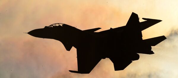 Máy bay chiến đấu Su-30SM - Sputnik Việt Nam