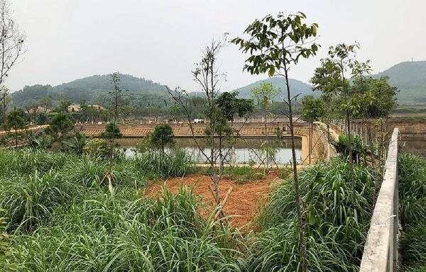 Khu trang trại của ông Trần Quý Kiên, thứ trưởng Bộ TNMT. - Sputnik Việt Nam