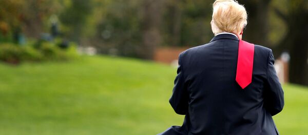 Tổng thống Hoa Kỳ Donald Trump trên bãi cỏ của Nhà Trắng ở Washington - Sputnik Việt Nam
