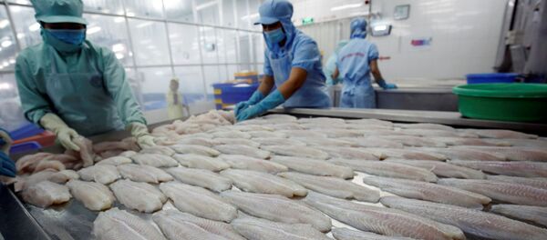 Công nhân của một nhà máy thủy sản ở Việt Nam - Sputnik Việt Nam