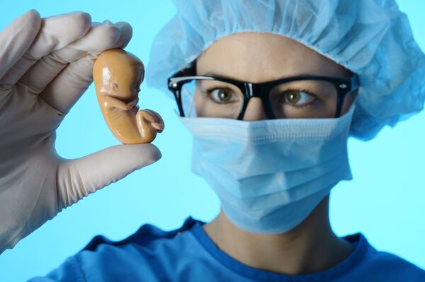 Врач держит модель эмбриона Врач держит модель эмбриона - Sputnik Việt Nam