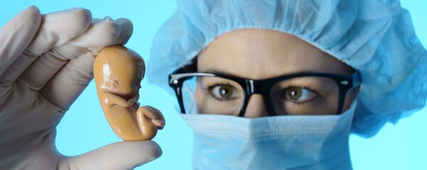 Врач держит модель эмбриона Врач держит модель эмбриона - Sputnik Việt Nam