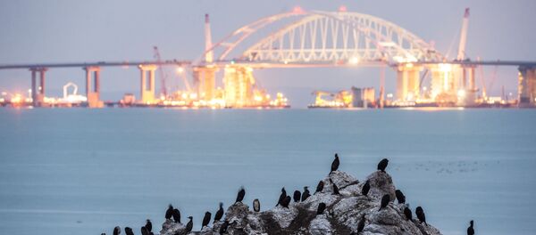 Xây dựng cầu Crưm Xây dựng cầu Crưm - Sputnik Việt Nam