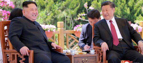 Lãnh đạo CHDCND Triều Tiên Kim Jong Un trong cuộc họp với Chủ tịch Trung Quốc Tập Cận Bình tại Đại Liên, Trung Quốc Lãnh đạo CHDCND Triều Tiên Kim Jong Un trong cuộc họp với Chủ tịch Trung Quốc Tập Cận Bình tại Đại Liên, Trung Quốc - Sputnik Việt Nam
