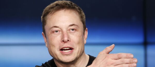 Elon Musk  - Sputnik Việt Nam