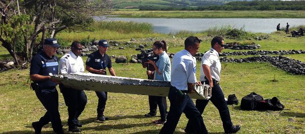 Phát hiện cánh cửa máy bay trên đảo Reunion của Pháp - Sputnik Việt Nam