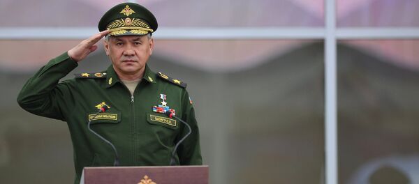 Sergei Shoigu - Sputnik Việt Nam