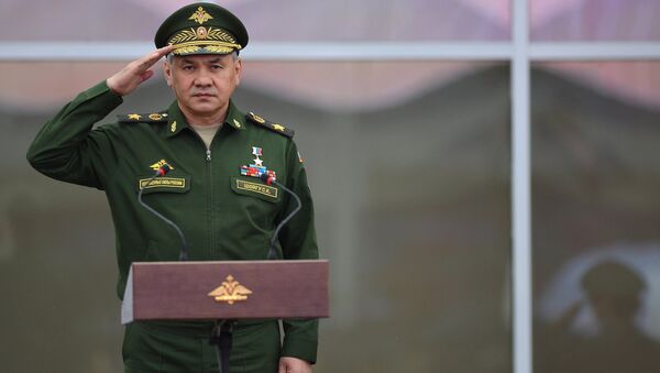 Sergei Shoigu - Sputnik Việt Nam