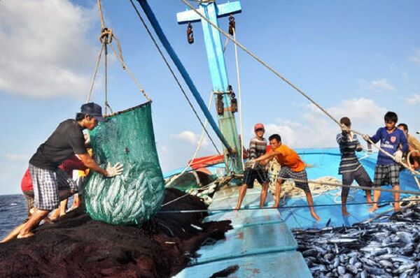 Ngày 15.5, đoàn kiểm tra của EU sẽ sang làm việc với Bộ NN&PTNT, một số địa phương ven biển, doanh nghiệp chế biến xuất khẩu thuỷ sản về việc việc khắc phục thẻ vàng. - Sputnik Việt Nam