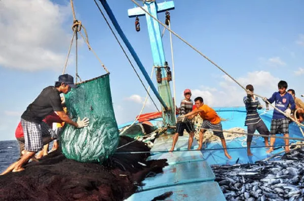 Ngày 15.5, đoàn kiểm tra của EU sẽ sang làm việc với Bộ NN&PTNT, một số địa phương ven biển, doanh nghiệp chế biến xuất khẩu thuỷ sản về việc việc khắc phục thẻ vàng. Ngày 15.5, đoàn kiểm tra của EU sẽ sang làm việc với Bộ NN&PTNT, một số địa phương ven biển, doanh nghiệp chế biến xuất khẩu thuỷ sản về việc việc khắc phục thẻ vàng. - Sputnik Việt Nam