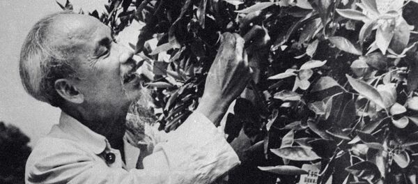 Chủ tịch nước Việt Nam DCCH Hồ Chí Minh ghép Cây Hữu nghị tại thành phố Sochi. - Sputnik Việt Nam