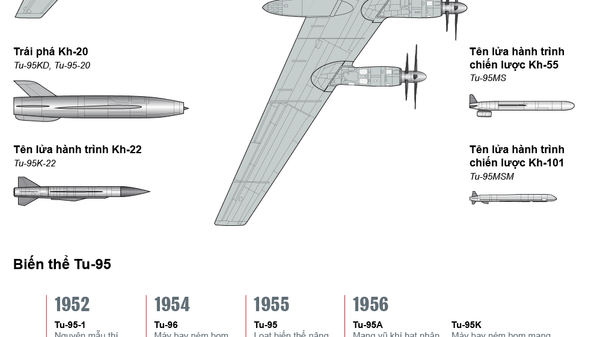 Máy bay ném bom chiến lược Tu-95 - Sputnik Việt Nam