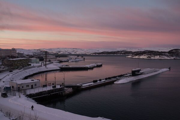 Tàu ngầm đề án  667BDRM Delphin thuộc Hạm đội Bắc của Hải quân Nga neo ở bến tàu Gadzhiyevo khu vực  Murmansk  - Sputnik Việt Nam