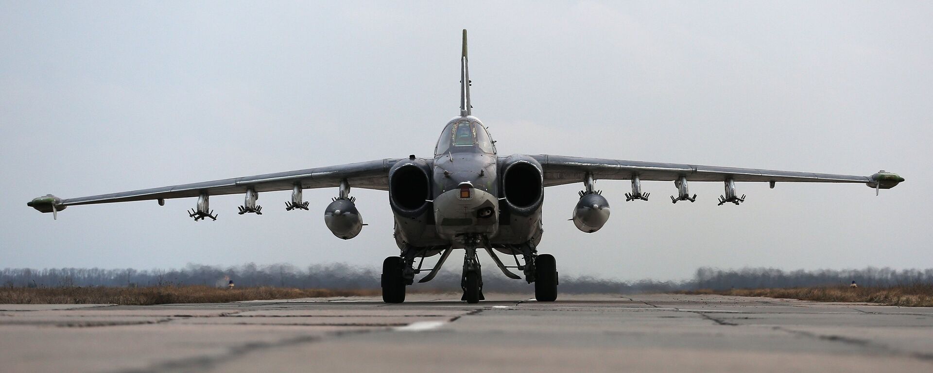 Máy bay Nga Su-25 - Sputnik Việt Nam, 1920, 24.03.2025