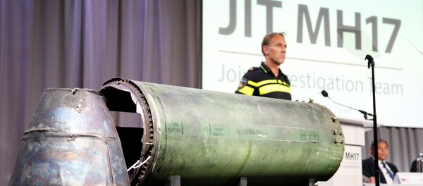 nhóm điều tra quốc tế có nhiệm vụ tìm ra nguyên nhân vụ rơi máy bay Boeing MH17 nhóm điều tra quốc tế có nhiệm vụ tìm ra nguyên nhân vụ rơi máy bay Boeing MH17 - Sputnik Việt Nam