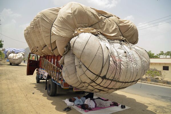 Những người đàn ông đang nghỉ ngơi dưới đám cỏ khô phủ vải ở bang Rajasthan của Ấn Độ - Sputnik Việt Nam