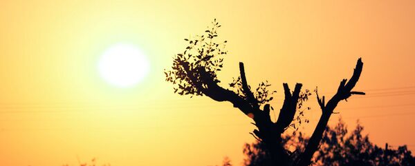 Mặt trời - Sputnik Việt Nam