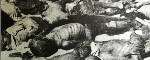 Nạn đói ở Việt Nam vào năm 1945 - Sputnik Việt Nam