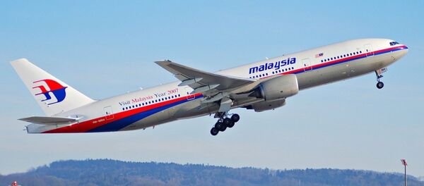 Máy bay của malaysia airlines - Sputnik Việt Nam