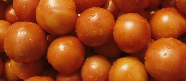 Cà chua - Sputnik Việt Nam