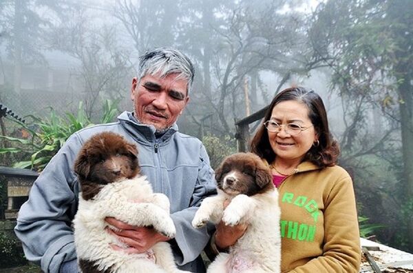 Vợ chồng ông Đoàn Văn Quang và những chú chó quý. - Sputnik Việt Nam
