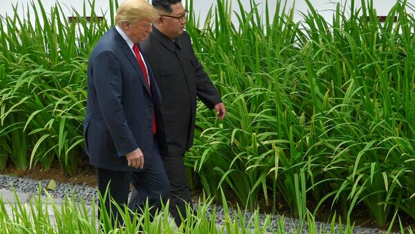 Kim Jong-un và Donald Trump - Sputnik Việt Nam