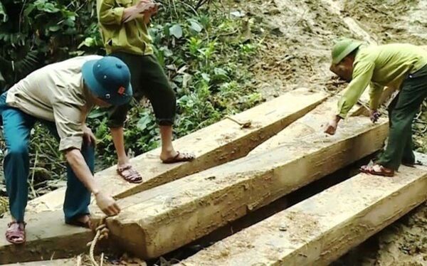 Phó Chủ tịch huyện Tuyên Hóa vừa bị khiển trách vì để mất rừng trên địa bàn được giao phụ trách. Trong ảnh: Hiện trường vụ phá rừng tại hai xã Thanh Hóa và Lâm Hóa, huyện Tuyên Hóa, tỉnh Quảng Bình. - Sputnik Việt Nam