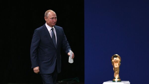 Tổng thống Nga Vladimir Putin - Sputnik Việt Nam