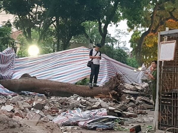 Phần gốc cây bị bật nằm bên trong khuôn viên của một cơ quan đang sửa chữa.  - Sputnik Việt Nam