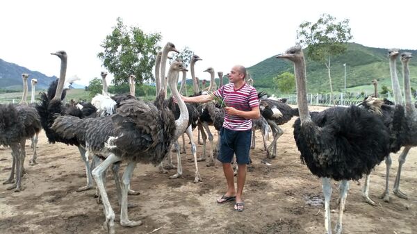 Denis Tomyshev với đàn đà điểu - Sputnik Việt Nam