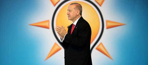 Tổng thống Thổ Nhĩ Kỳ Tayyip Erdogan Tổng thống Thổ Nhĩ Kỳ Tayyip Erdogan - Sputnik Việt Nam