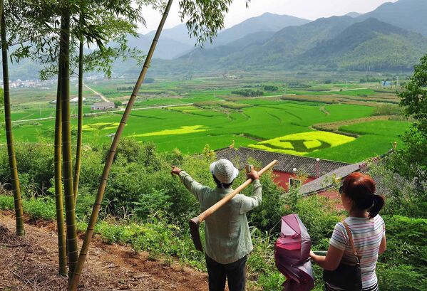 Tạo hình những ngôi sao và lá cờ của đảng Cộng sản Trung Quốc trên đồng lúa - Sputnik Việt Nam