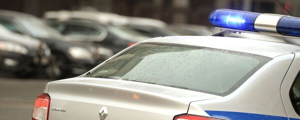 Xe cảnh sát Xe cảnh sát - Sputnik Việt Nam