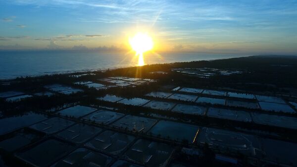 BÌNH MINH TRÊN NHỮNG ĐẦM TÔM BÌNH MINH TRÊN NHỮNG ĐẦM TÔM - Sputnik Việt Nam