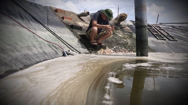 NIKOLAI LO LẮNG VÌ TÔM BỊ BỆNH CHẾT NIKOLAI LO LẮNG VÌ TÔM BỊ BỆNH CHẾT - Sputnik Việt Nam