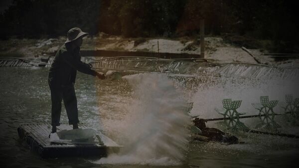 XỬ LÝ VỆ SINH HỒ SAU DỊCH BỆNH XỬ LÝ VỆ SINH HỒ SAU DỊCH BỆNH - Sputnik Việt Nam