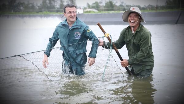 NIKOLAI CÙNG NÔNG DÂN THU HOẠCH TÔM - Sputnik Việt Nam