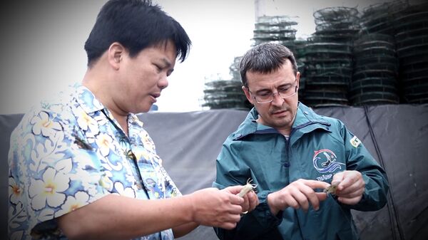 NIKOLAI VÀ ANH TOÀN ĐANG KIỂM TRA TÔM NIKOLAI VÀ ANH TOÀN ĐANG KIỂM TRA TÔM - Sputnik Việt Nam