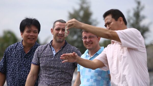 HAI ANH EM CÙNG ANH TOÀN VÀ ÔNG NGHĨA KIỂM TRA TÔM HAI ANH EM CÙNG ANH TOÀN VÀ ÔNG NGHĨA KIỂM TRA TÔM - Sputnik Việt Nam