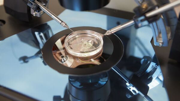 IVF - Sputnik Việt Nam