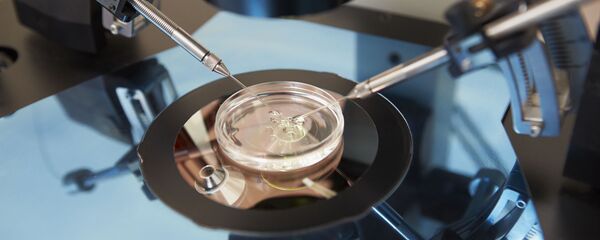 IVF - Sputnik Việt Nam