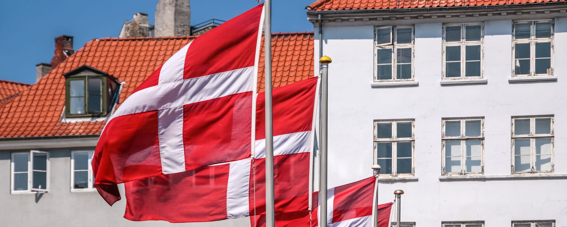 Quốc kỳ của Đan Mạch. - Sputnik Việt Nam, 1920, 29.10.2024