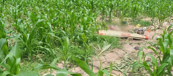 Đôi nam nữ chết trong ruộng ngô - Sputnik Việt Nam