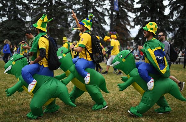 Cổ động viên của đội tuyển Brazil trước khi bắt đầu trận đấu trong World Cup 2018 giữa các cầu thủ Brazil và Costa Rica. Cổ động viên của đội tuyển Brazil trước khi bắt đầu trận đấu trong World Cup 2018 giữa các cầu thủ Brazil và Costa Rica. - Sputnik Việt Nam