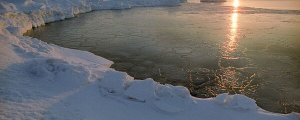 Bắc Cực - Sputnik Việt Nam