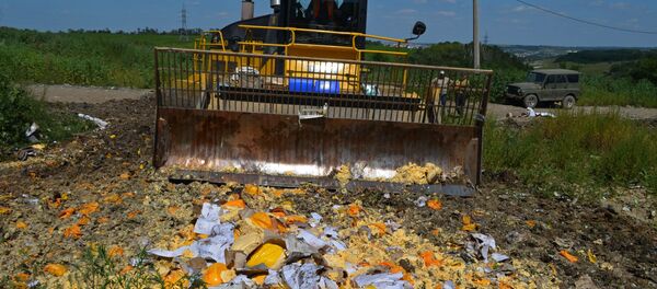 Tiêu huỷ sản phẩm  bị cấm vận của châu Âu ở khu vực Belgorod - Sputnik Việt Nam