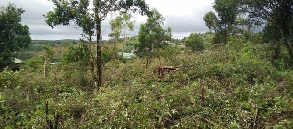 Khu vực đất quốc phòng được cấp sổ đỏ trái phép cho cán bộ ở tỉnh Đắk Nông - Sputnik Việt Nam